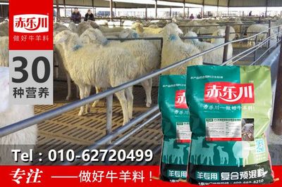 肉羊催肥料精應(yīng)用指南與信息咨詢服務(wù)解析