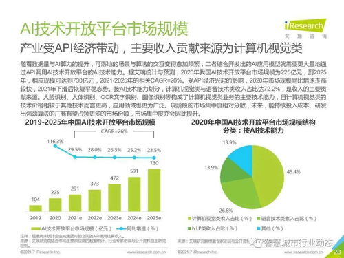 中國人工智能基礎(chǔ)層行業(yè)報告2021 人工智能基礎(chǔ)軟件開發(fā)